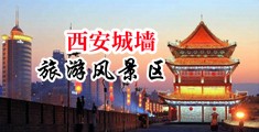 日老女人大黑大逼中国陕西-西安城墙旅游风景区