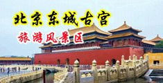 两个小美女操逼中国北京-东城古宫旅游风景区
