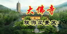 艹逼视频免费观看无中国浙江-新昌大佛寺旅游风景区